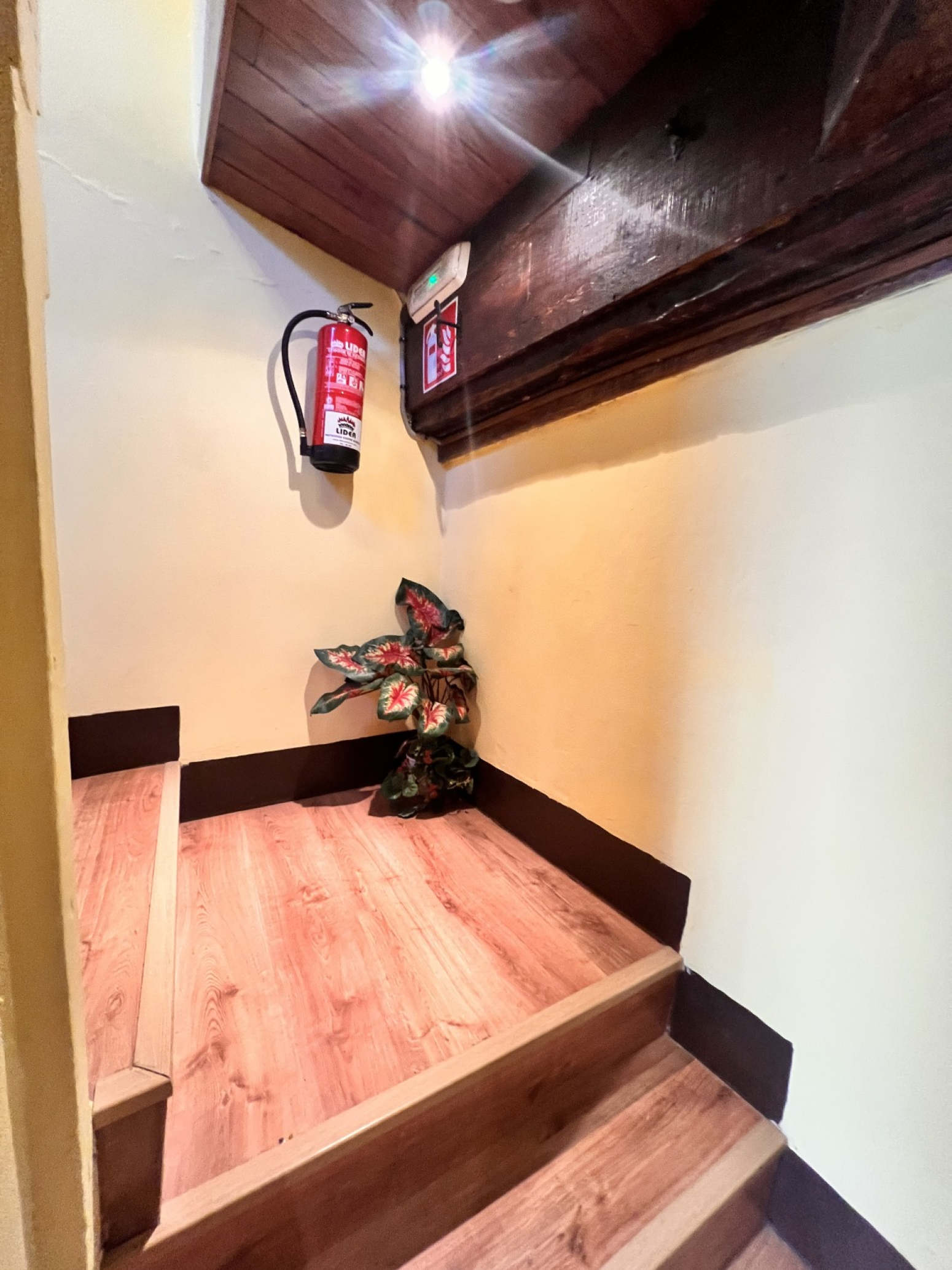 Negocios-Venta-Cudillero-2353801-Foto-8
