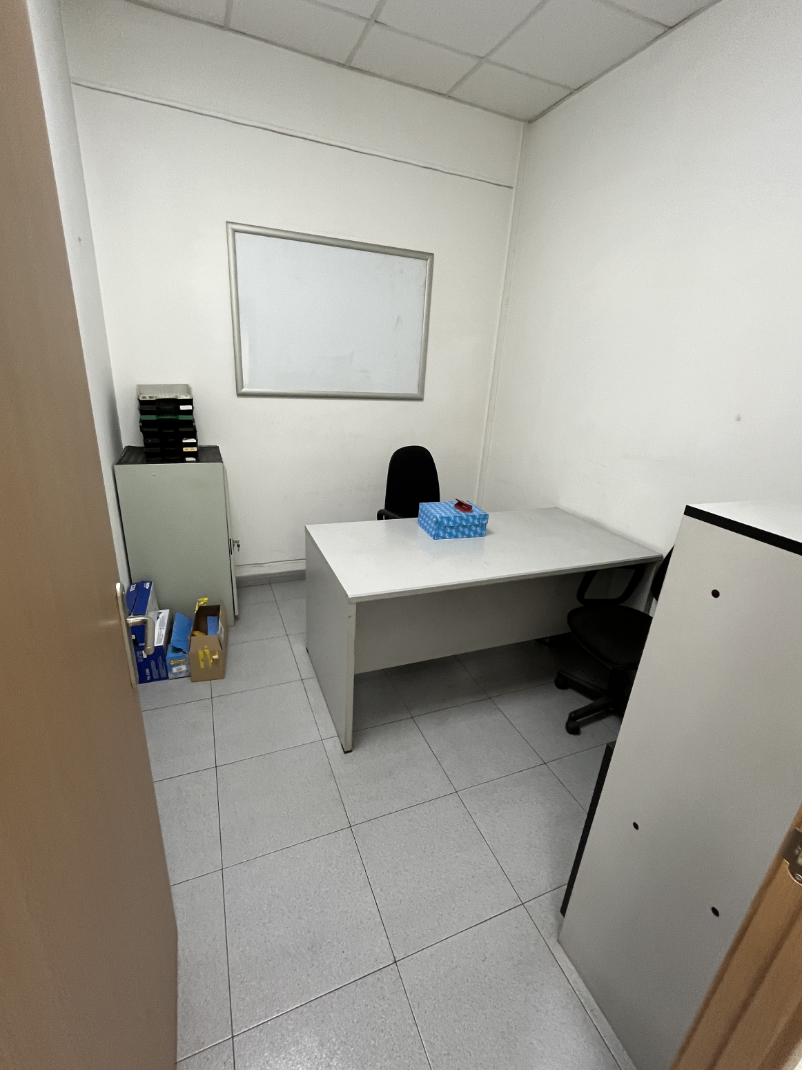 Naves-Alquiler-AvilÃ©s-1396761-Foto-8