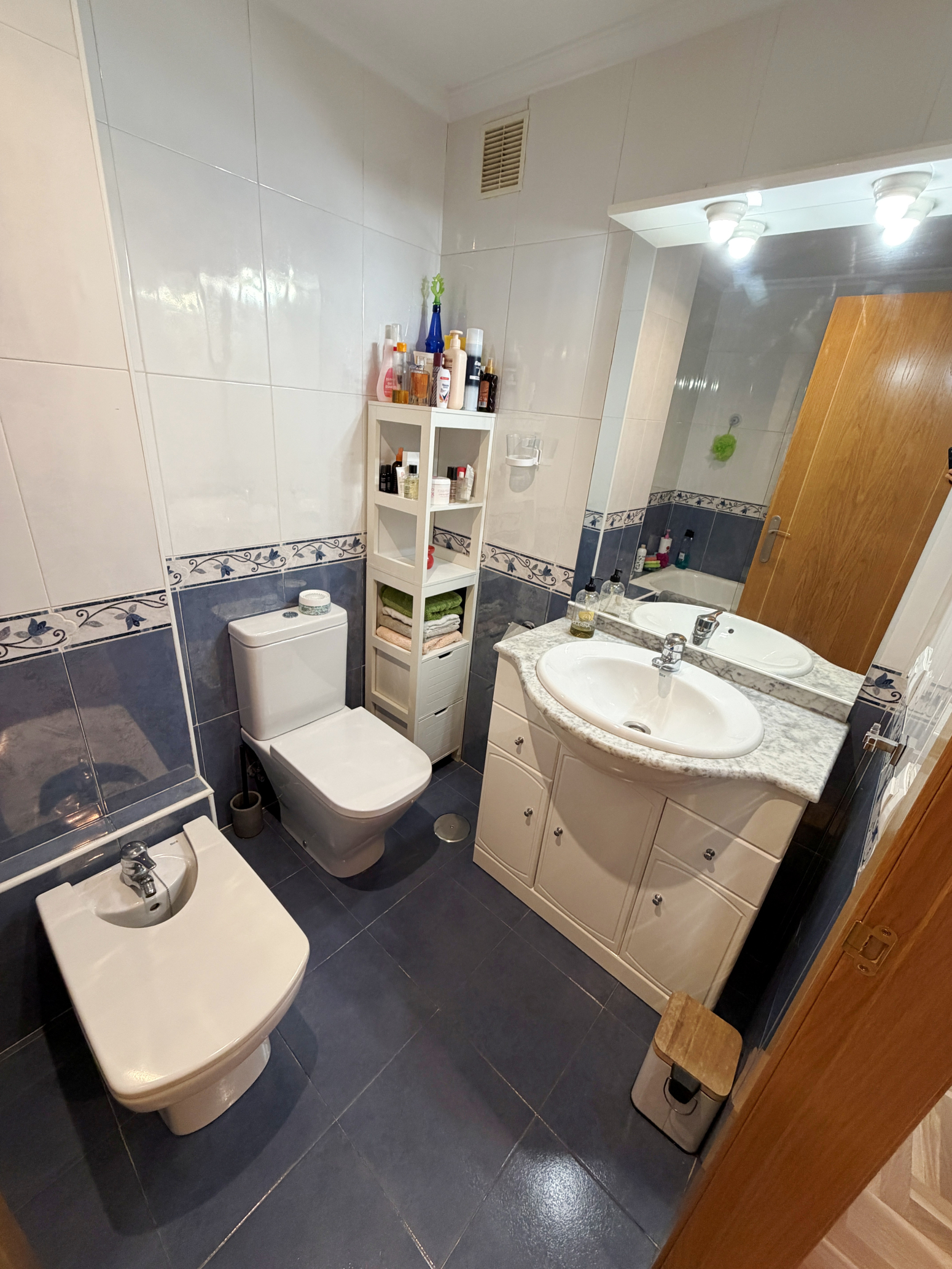 Pisos-Venta-AvilÃ©s-2336149-Foto-11