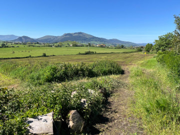 Fincas y solares-Venta-Marina de Cudeyo-1718852-Foto-3-Carrousel