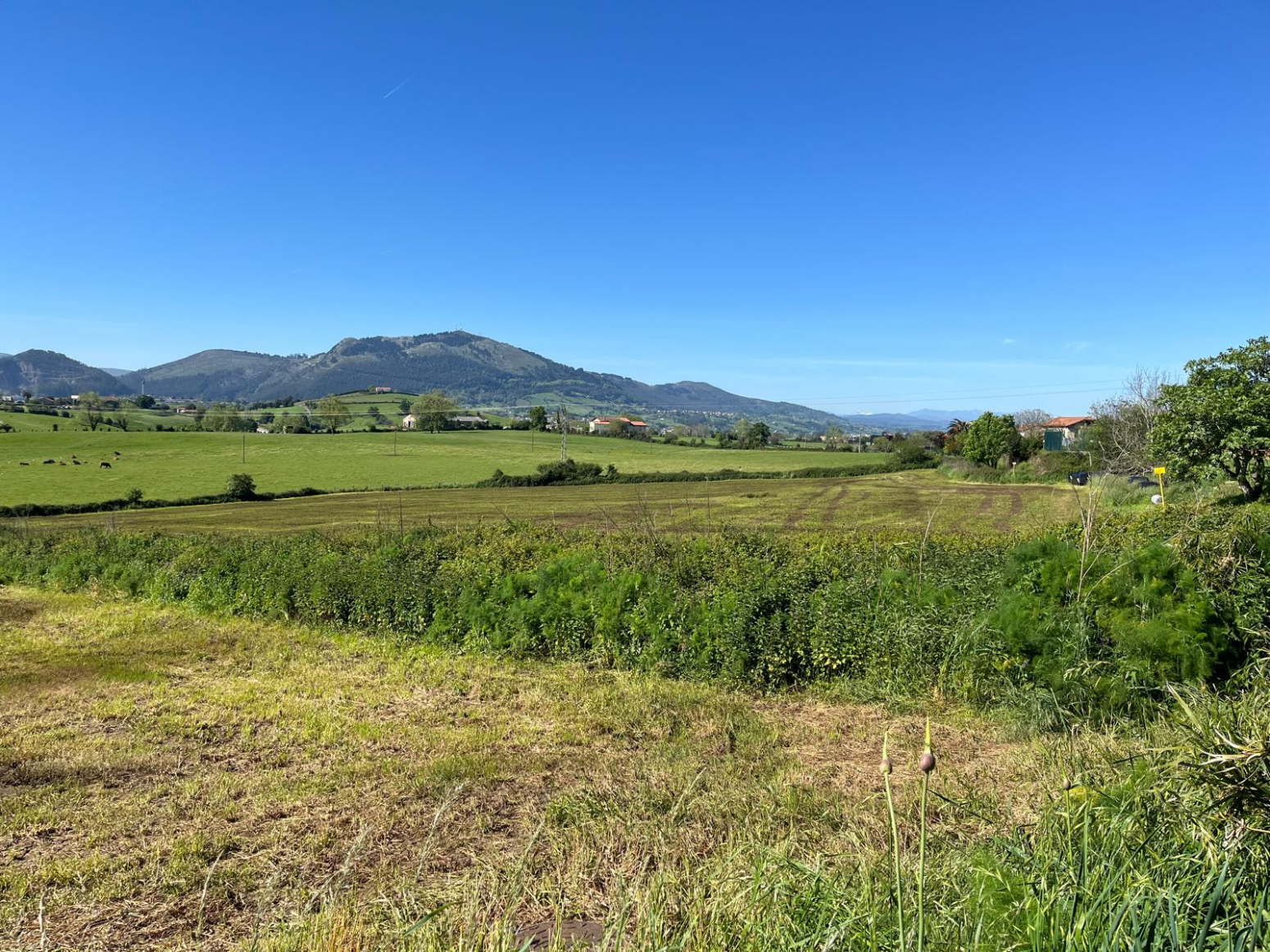 Fincas y solares-Venta-Marina de Cudeyo-1718852-Foto-3