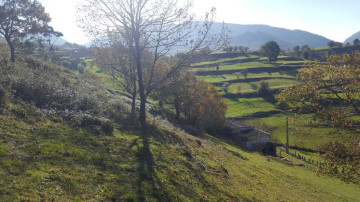 Fincas y solares-Venta-Molledo-2311313-Foto-12-Carrousel