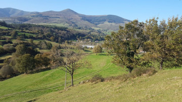 Fincas y solares-Venta-Molledo-2311313-Foto-10-Carrousel