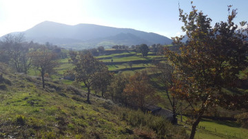 Fincas y solares-Venta-Molledo-2311313-Foto-11-Carrousel