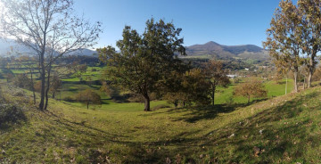 Fincas y solares-Venta-Molledo-2311313-Foto-9-Carrousel