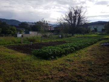 Fincas y solares-Venta-Los Corrales de Buelna-2311361-Foto-0-Carrousel