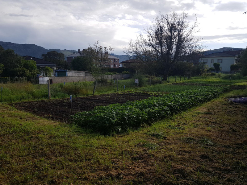 Fincas y solares-Venta-Los Corrales de Buelna-2311361