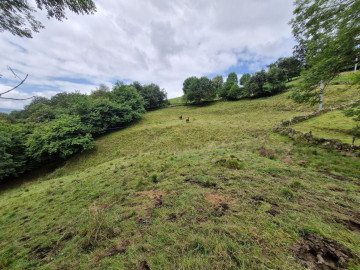 Locales-Venta-Selaya-2311397-Foto-7-Carrousel
