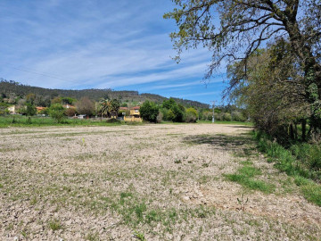 Fincas y solares-Venta-Piélagos-2311454-Foto-2-Carrousel