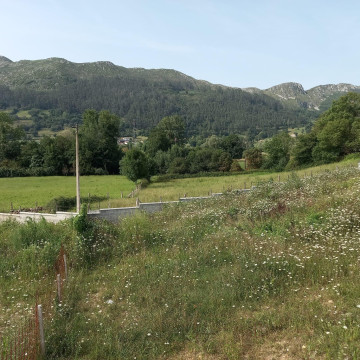 Fincas y solares-Venta-San Felices de Buelna-2311490-Foto-0-Carrousel