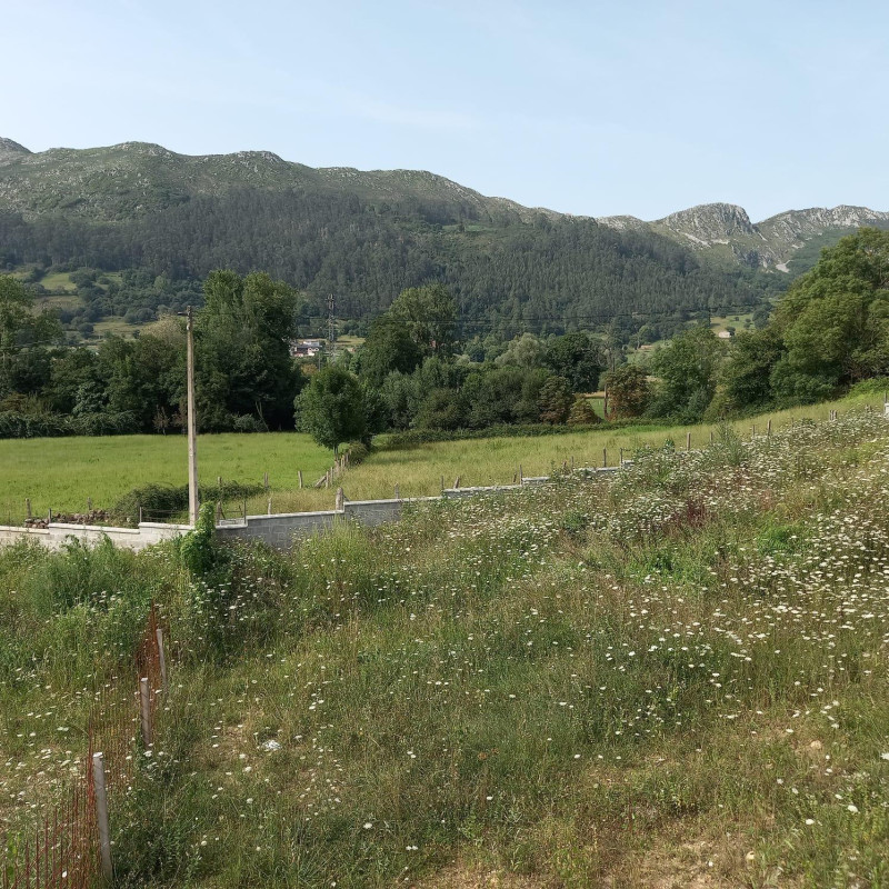 Fincas y solares-Venta-San Felices de Buelna-2311490
