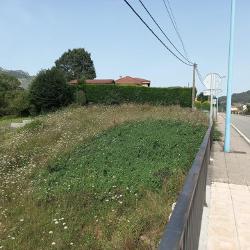 Fincas y solares-Venta-San Felices de Buelna-2311490-Foto-9-Carrousel