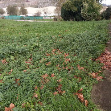 Fincas y solares-Venta-Los Corrales de Buelna-2311520-Foto-4-Carrousel