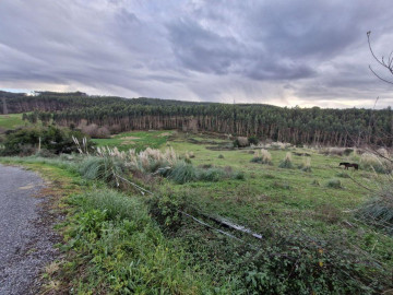 Fincas y solares-Venta-Piélagos-2311547-Foto-2-Carrousel
