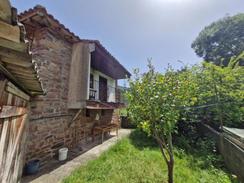 Casas o chalets-Venta-Cieza-2355740