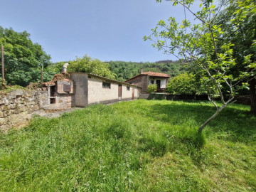 Jardín