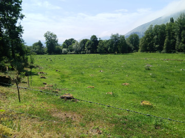 Vistas