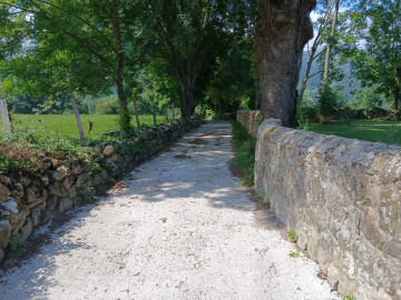 Alrededores