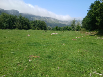 Vistas