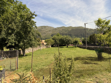 Vistas