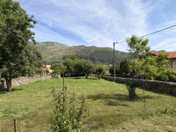 Vistas