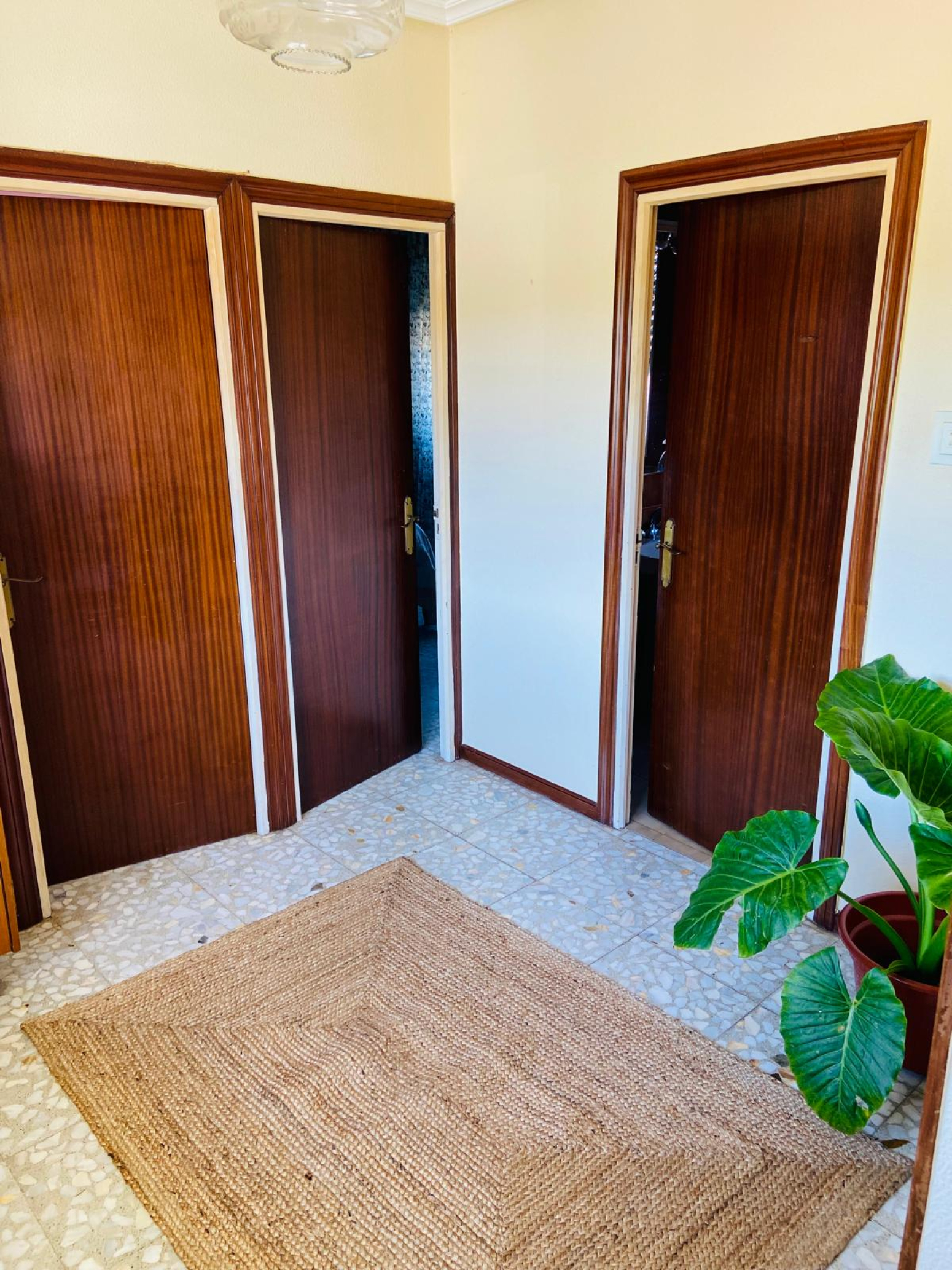 Casas o chalets-Venta-PiÃ©lagos-1709888-Foto-38