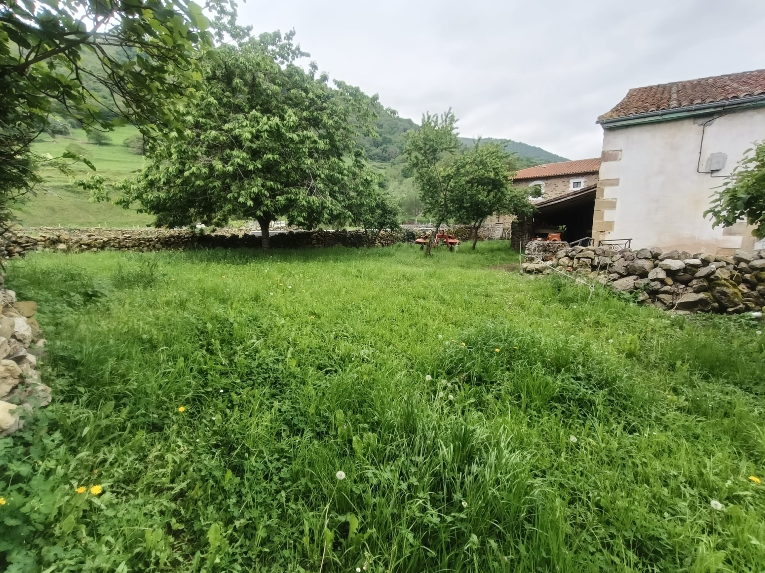 Casas o chalets-Venta-Cieza-2283495-Foto-15