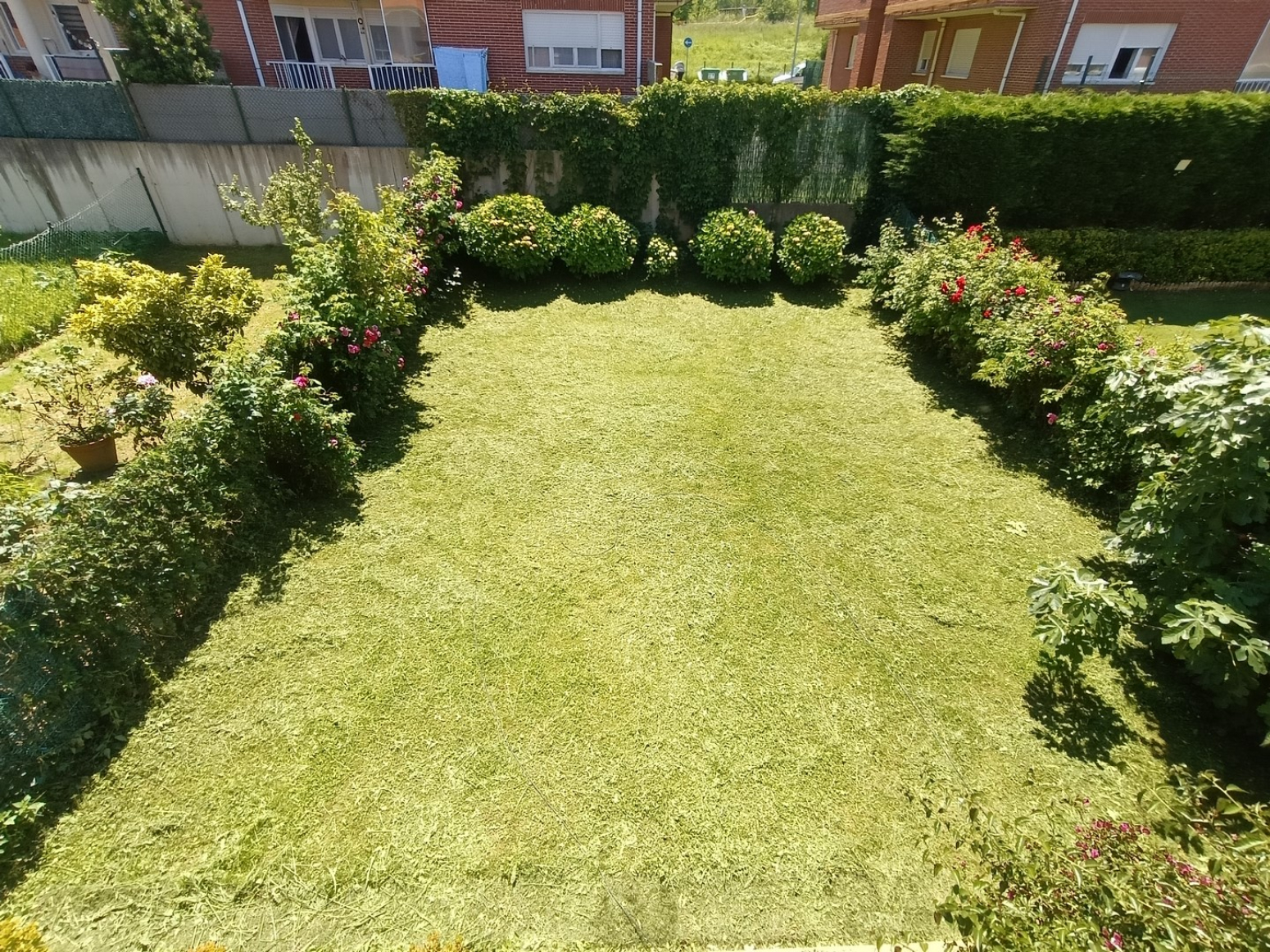 Casas o chalets-Venta-ReocÃ­n-2290862-Foto-9