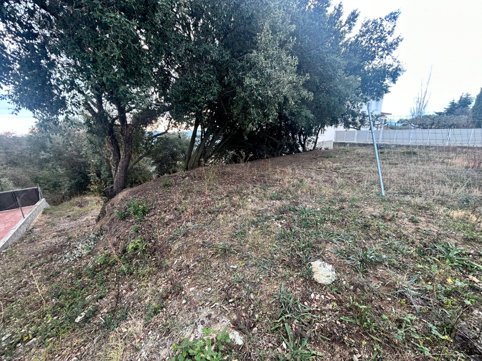 Fincas y solares-Venta-Dosrius-1039850-Foto-23