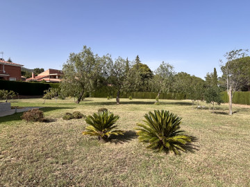 Casas o chalets-Venta-Almoster-1227189-Foto-13-Carrousel