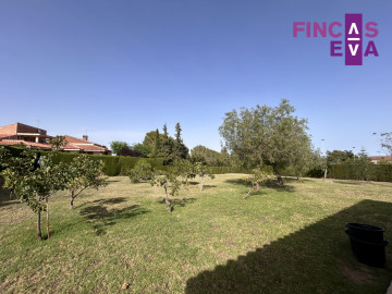 Casas o chalets-Venta-Almoster-1227189-Foto-34-Carrousel