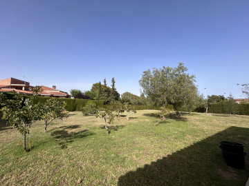 Casas o chalets-Venta-Almoster-1227189-Foto-21-Carrousel