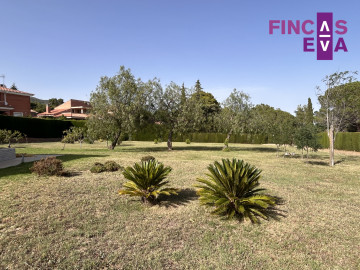 Casas o chalets-Venta-Almoster-1227189-Foto-29-Carrousel