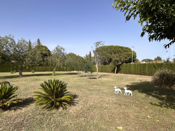 Casas o chalets-Venta-Almoster-1227189-Foto-12-Carrousel