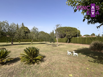 Casas o chalets-Venta-Almoster-1227189-Foto-28-Carrousel