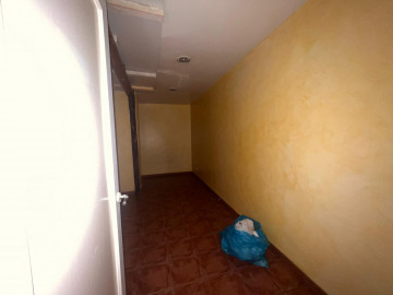Despacho
