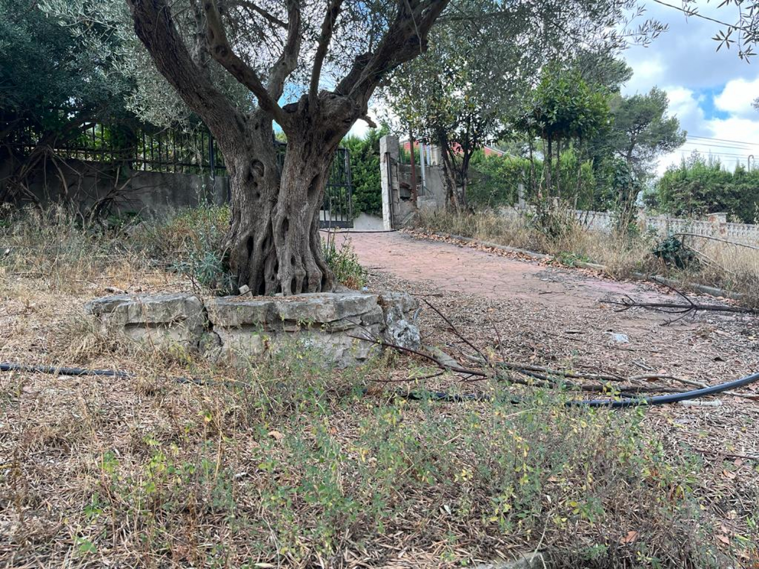 Casas o chalets-Venta-Olesa de Bonesvalls-917236-Foto-7