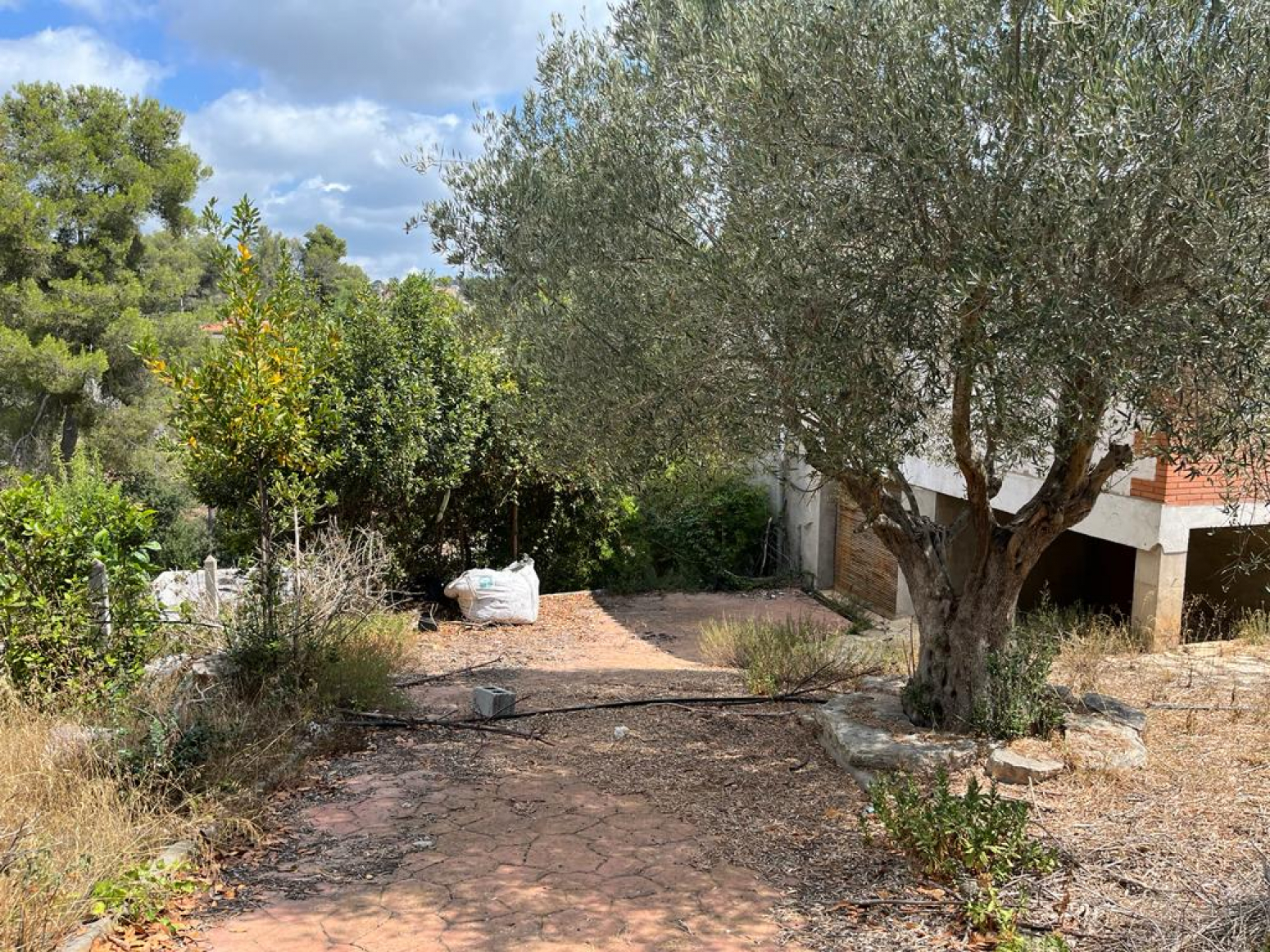 Casas o chalets-Venta-Olesa de Bonesvalls-917236-Foto-5