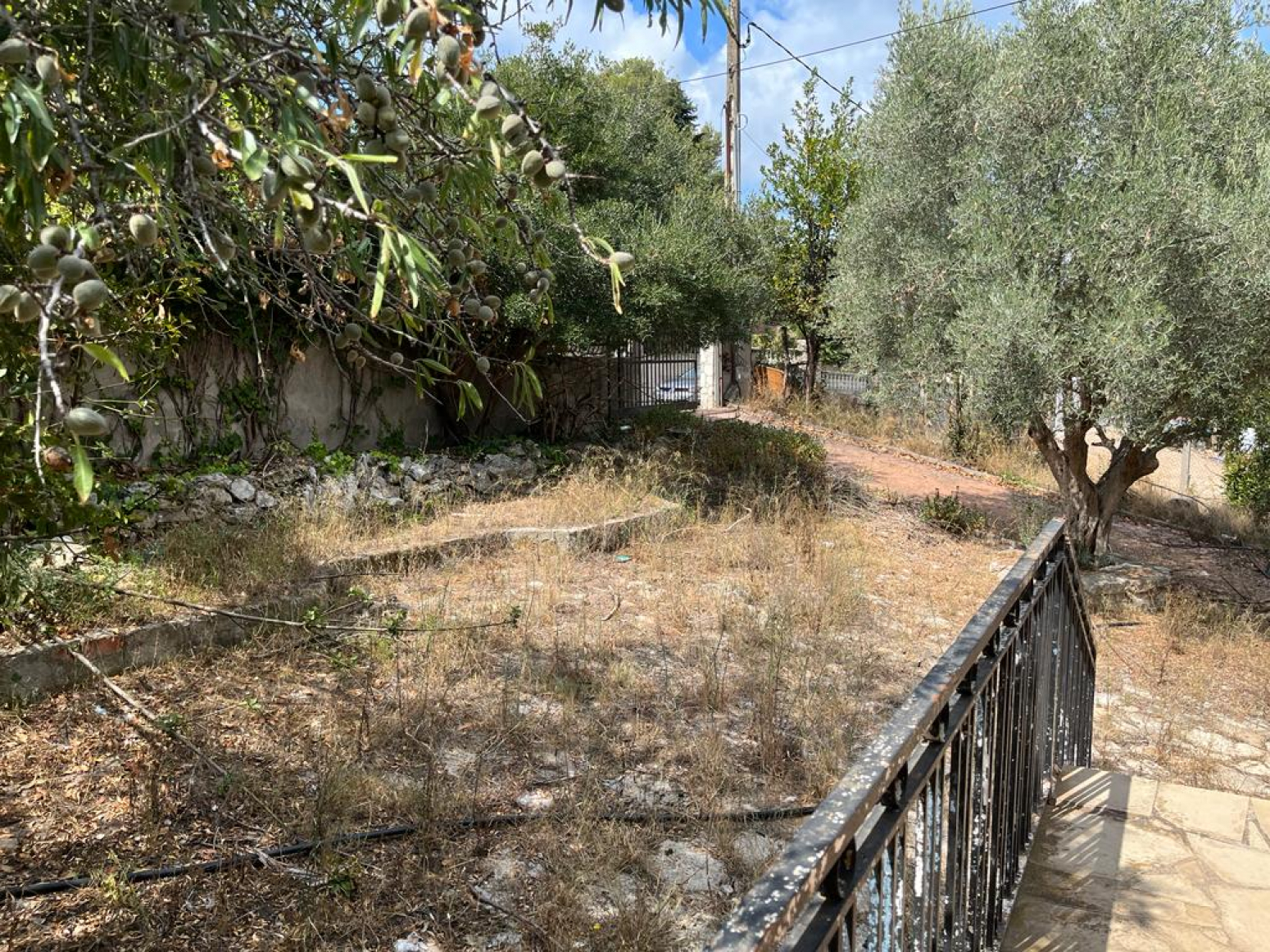 Casas o chalets-Venta-Olesa de Bonesvalls-917236-Foto-45