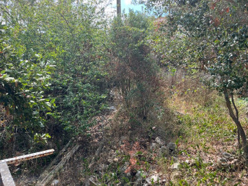 Alrededores
