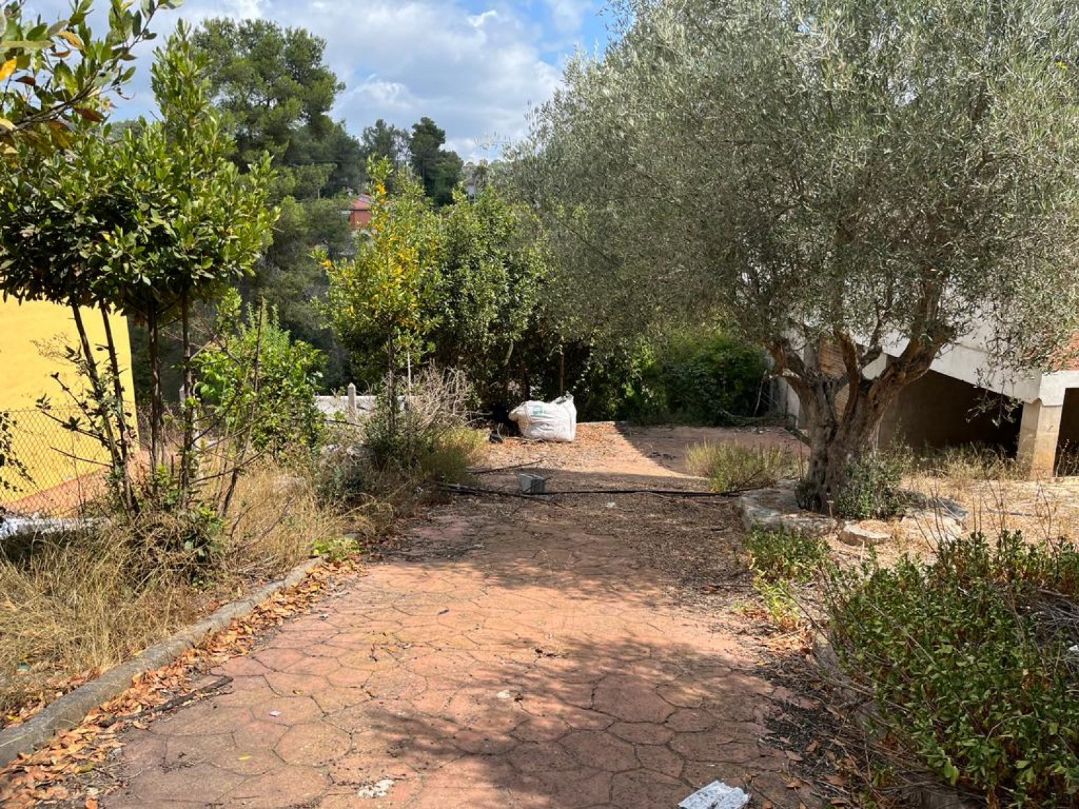 Casas o chalets-Venta-Olesa de Bonesvalls-917236-Foto-48