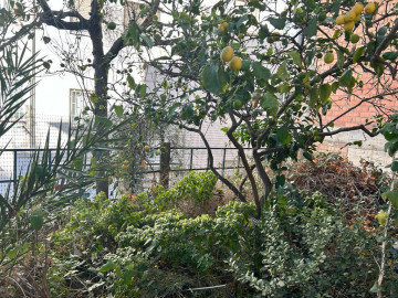 Jardín