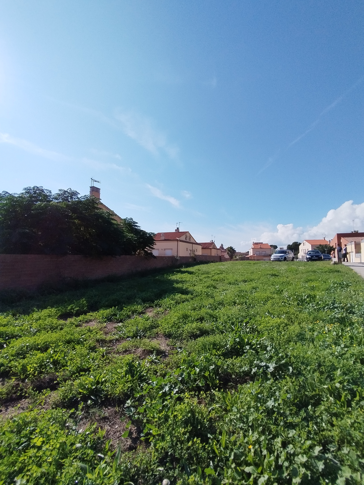 Fincas y solares-Venta-Valls-1476627-Foto-6