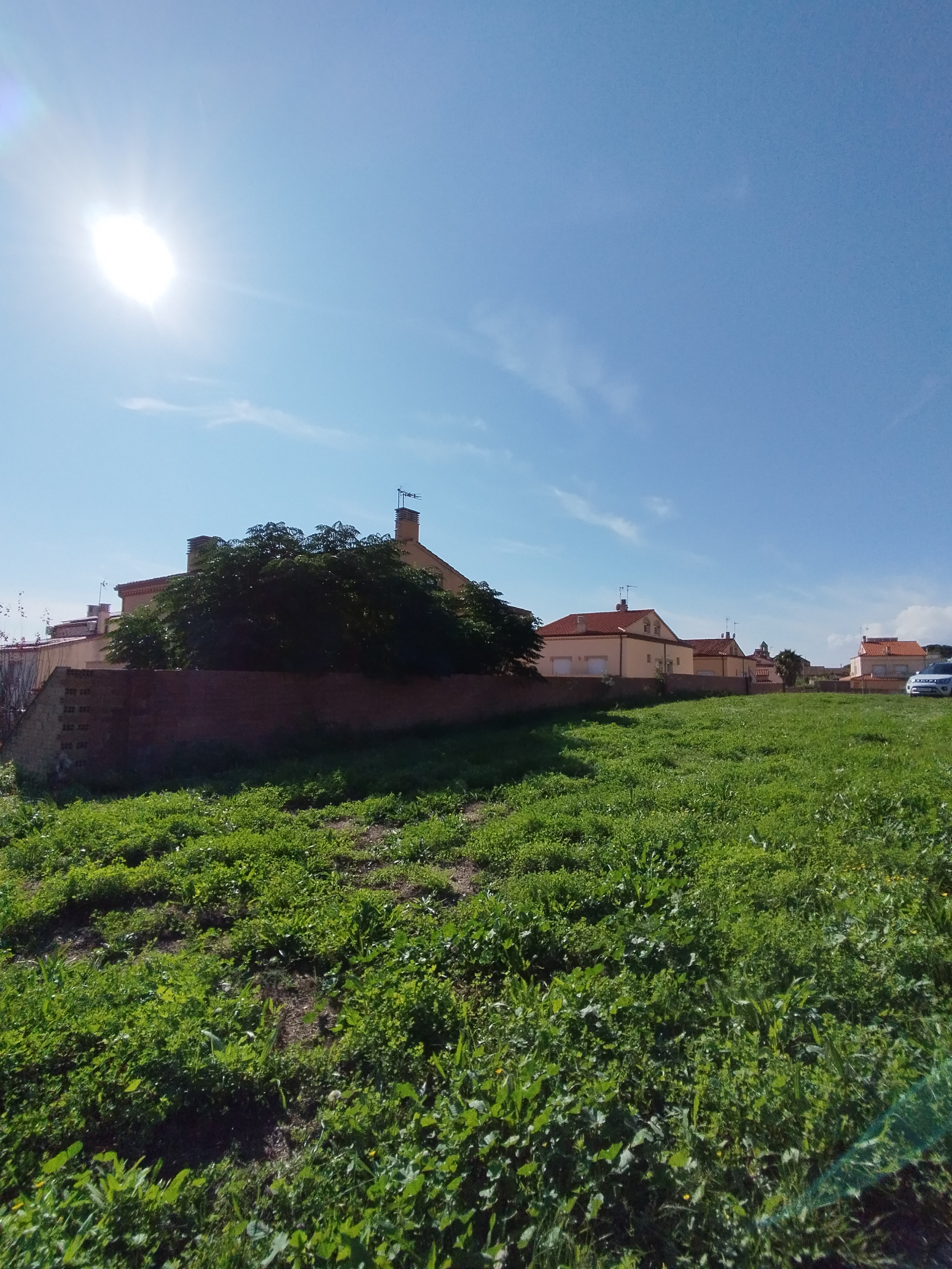 Fincas y solares-Venta-Valls-1476627-Foto-5