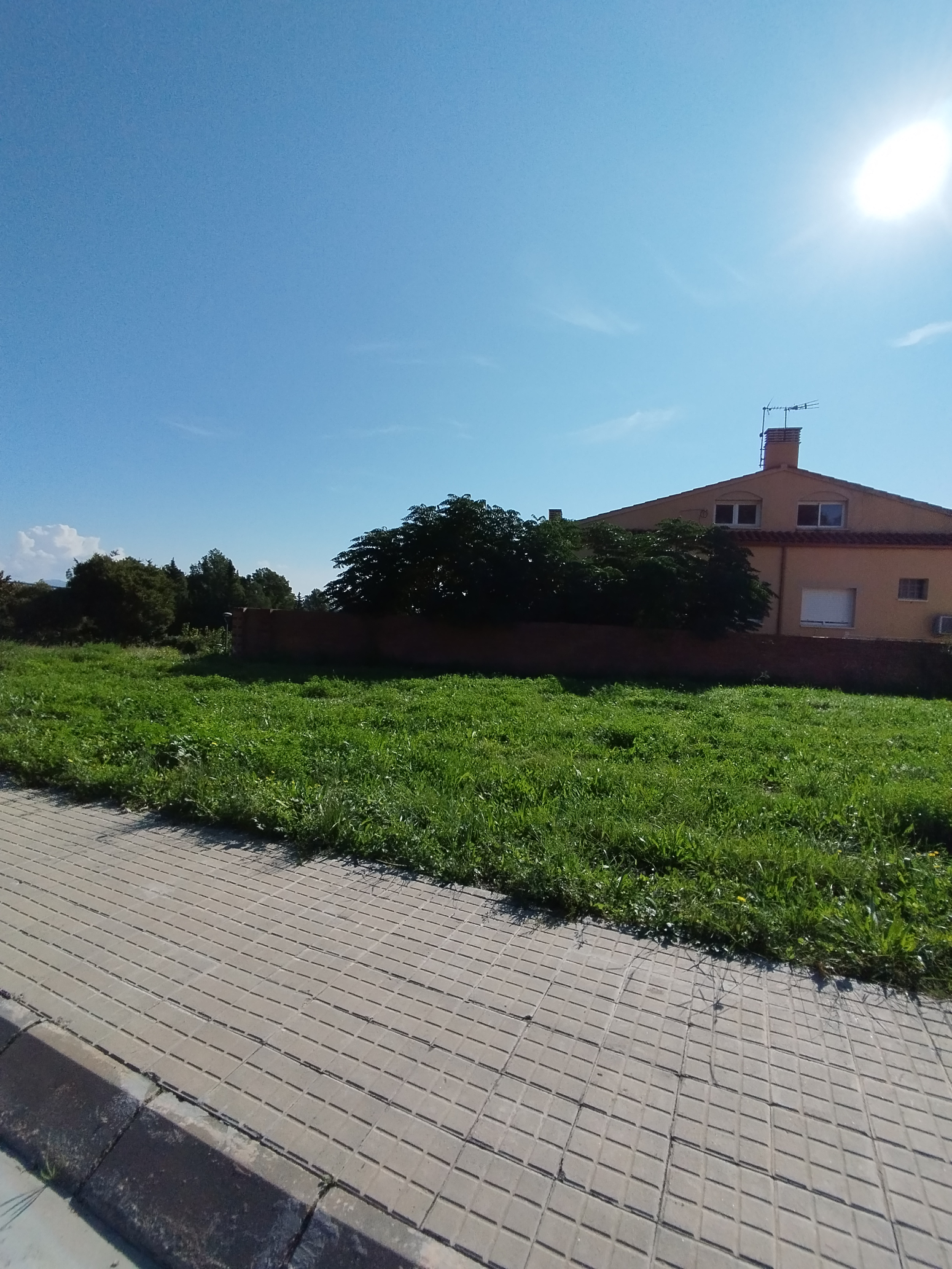 Fincas y solares-Venta-Valls-1476627-Foto-4