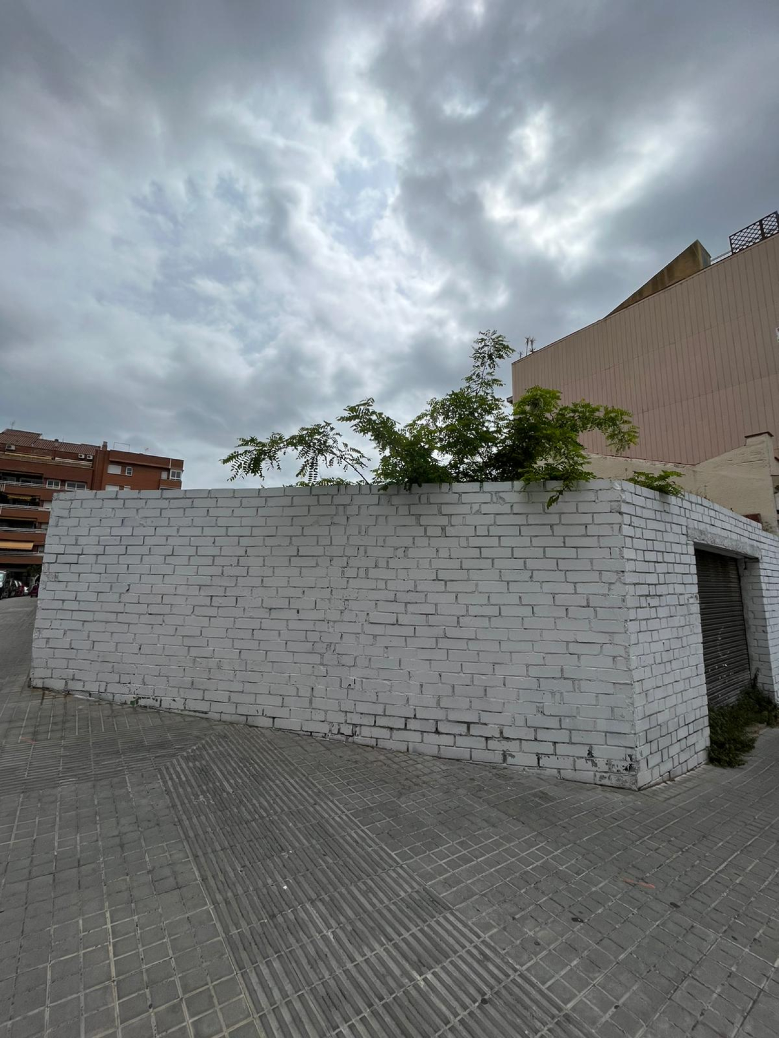 Fincas y solares-Venta-Badalona-1089780-Foto-4