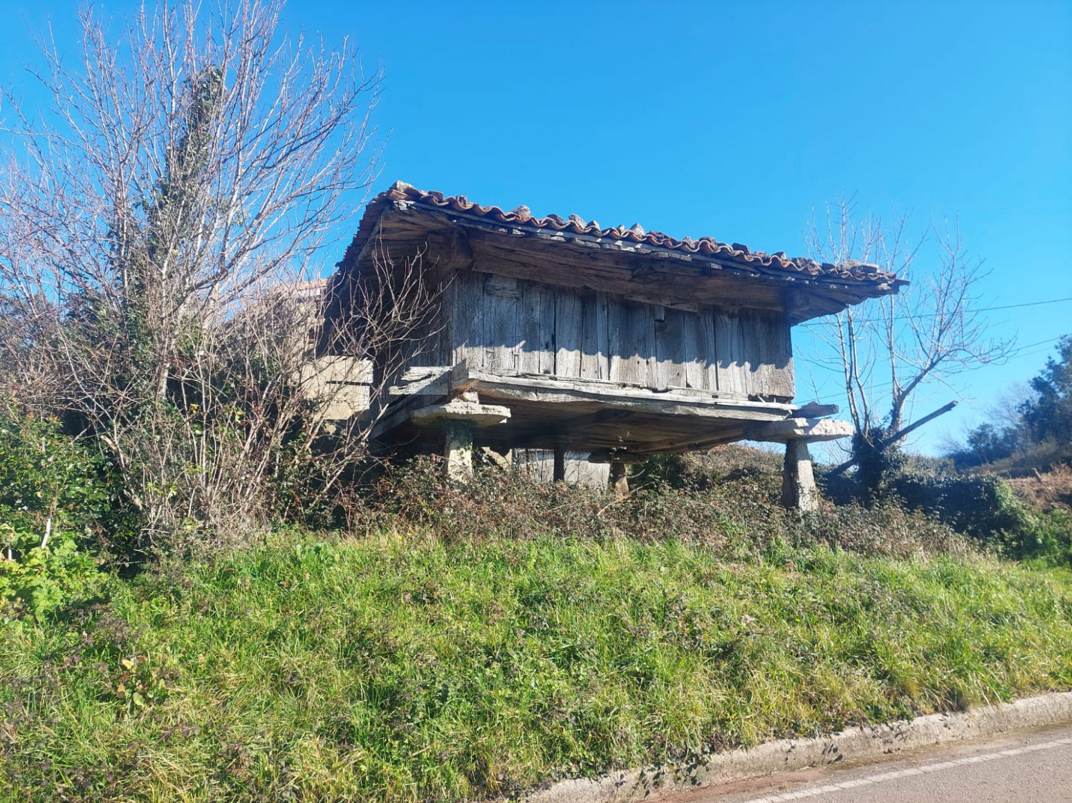 Casas o chalets-Alquiler-Villaviciosa-1052025-Foto-13