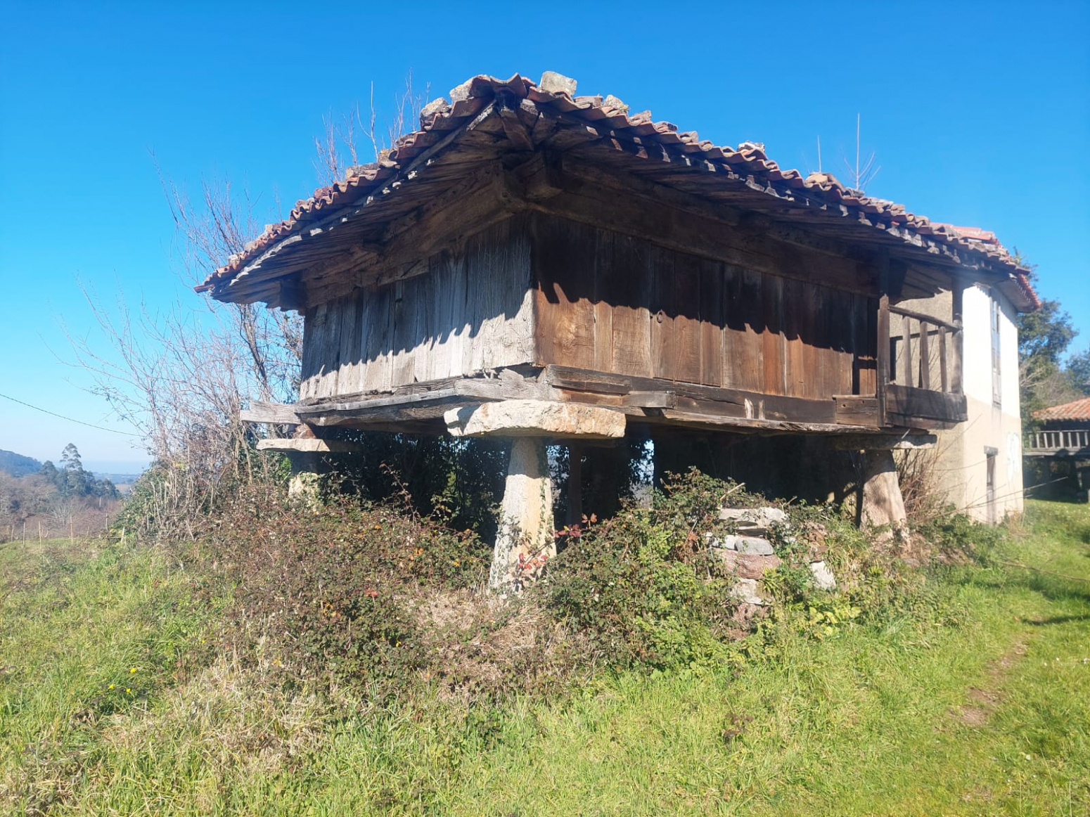 Casas o chalets-Alquiler-Villaviciosa-1052025-Foto-10