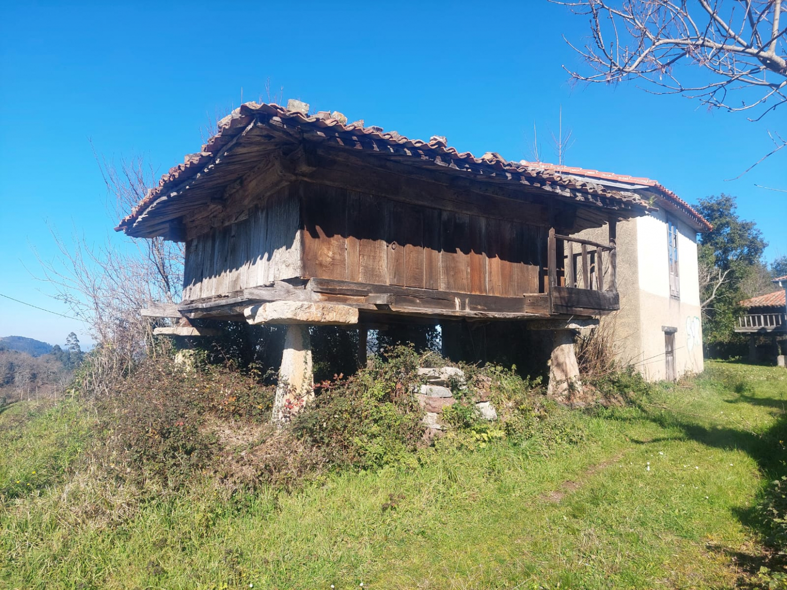 Casas o chalets-Alquiler-Villaviciosa-1052025-Foto-9