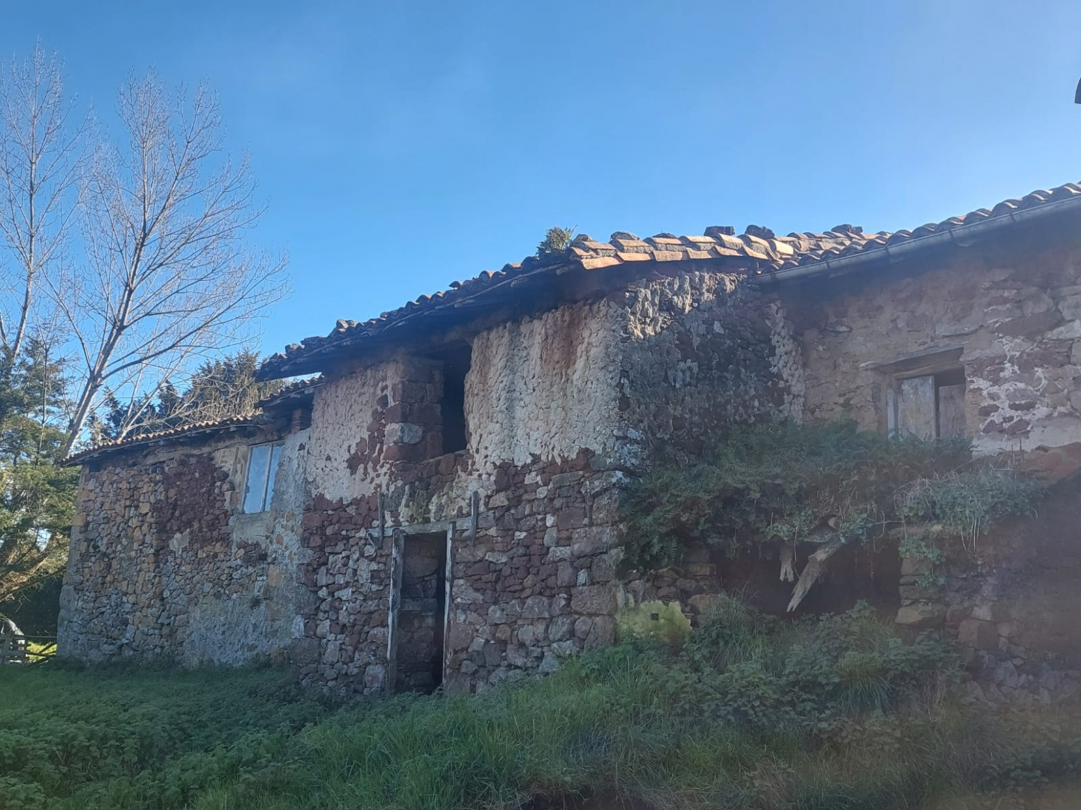 Casas o chalets-Alquiler-Villaviciosa-1052057-Foto-7